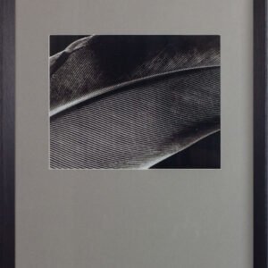 8291C-6